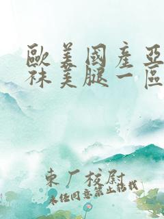 欧美国产亚洲丝袜美腿一区