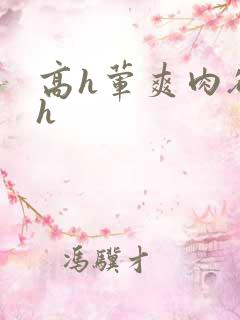 高h荤爽肉欲文h