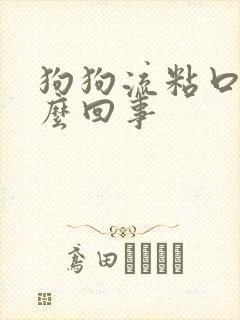 狗狗流粘口水怎么回事