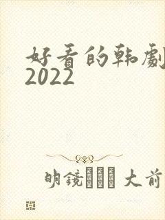 好看的韩剧推荐2022