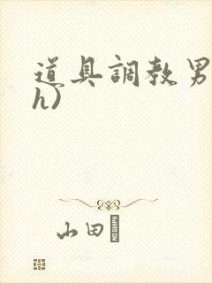 道具调教男男(h)