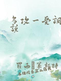 多攻一受调教小说