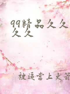 99精品久久久久久