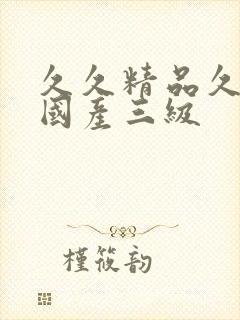 久久精品久久久国产三级