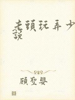 老头玩弄少妇小说