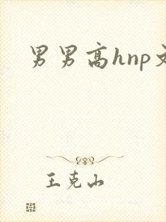 男男高hnp文
