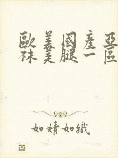 欧美国产亚洲丝袜美腿一区