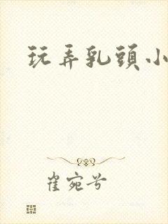 玩弄乳头小说h
