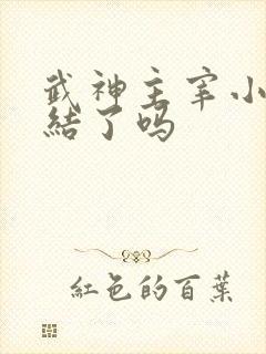 武神主宰小说完结了吗