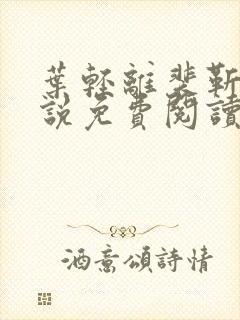 叶轻离裴靳墨小说免费阅读无弹窗