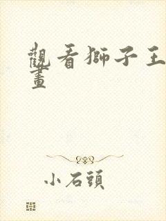 观看狮子王 动画