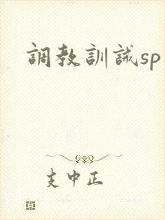 调教训诫sp文