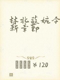 林北苏婉今天最新章节