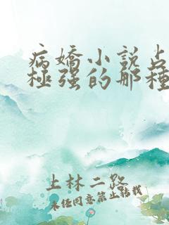 病娇小说占有欲极强的那种