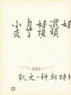 小月好湿好紧太爽了视频