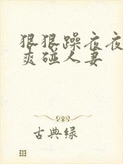 狠狠躁夜夜躁人爽碰人妻