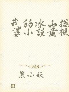 我的冰山总裁老婆小说黄枫雨天