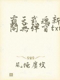 霸天武魂新笔趣阁无弹窗txt