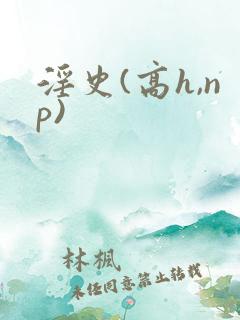 淫史(高h,np)