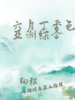 六月丁香色婷婷亚洲综合