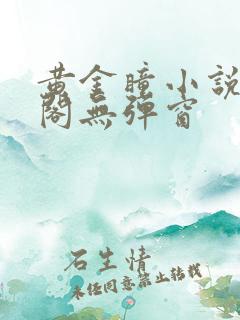 黄金瞳小说笔趣阁无弹窗