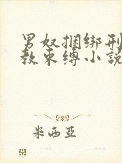 男奴捆绑刑具调教束缚小说