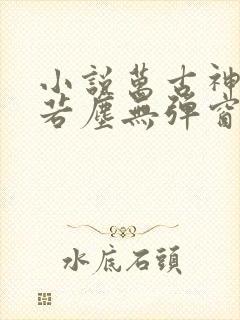 小说万古神帝张若尘无弹窗