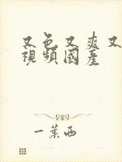 又色又爽又黄的视频国产