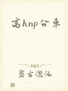 高hnp公车