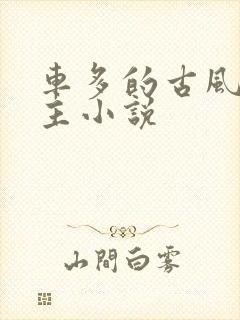 车多的古风双男主小说