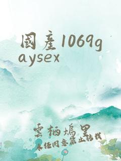 国产1069gaysex