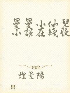 曼曼小仙儿有声小说在线收听