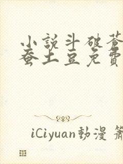 小说斗破苍穹天蚕土豆免费阅读