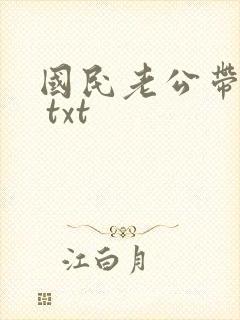 国民老公带回家 txt