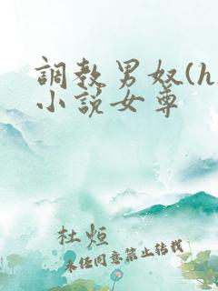 调教男奴(h)小说女尊