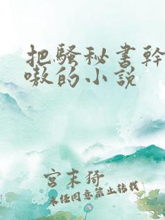 把骚秘书干的嗷嗷的小说