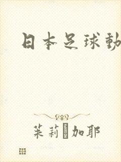 日本足球动画片
