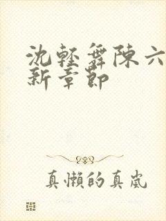 沈轻舞陈六何最新章节