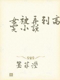 女被弄到高潮雯雯小说