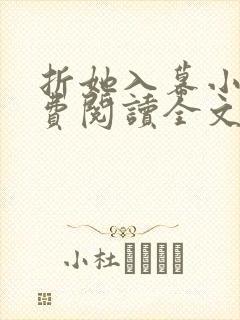 折她入幕小说免费阅读全文无弹窗