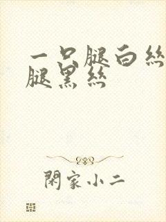 一只腿白丝一只腿黑丝