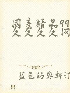 国产精品99久久久久久网站