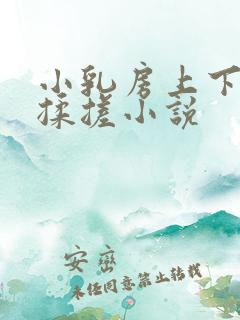 小乳房上下耸动揉搓小说
