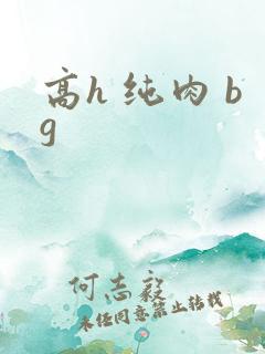 高h 纯肉 bg