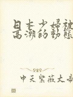 日本少妇被爽到高潮的动态图