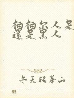 柏柏尔人是白人还是黑人