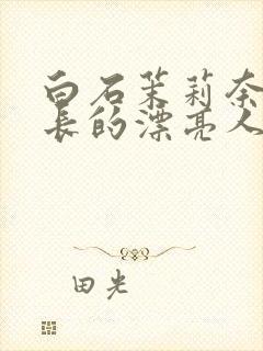 白石茉莉奈被部长的漂亮人妻