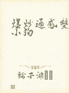 爆炒通感双胞胎小狗