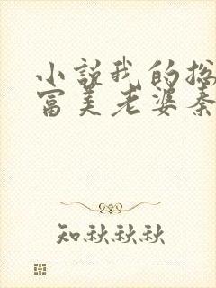 小说我的总裁白富美老婆秦宇全集下载