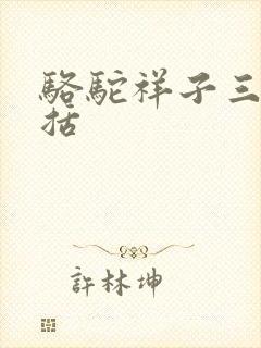 骆驼祥子三落概括